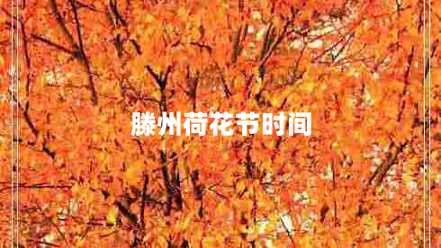 滕州荷花節時(shí)間
