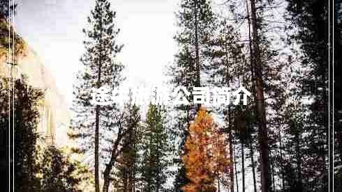 途牛旅游公司簡(jiǎn)介