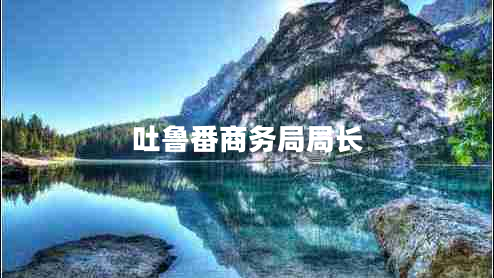 吐魯番商務(wù)局局長(cháng)