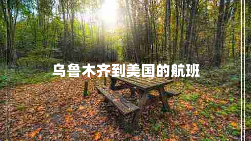 烏魯木齊到美國的航班