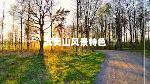 武夷山風(fēng)景特色