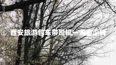 西安旅游包車帶司機(jī)一天多少錢(qián)