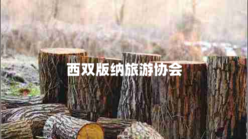西雙版納旅游協(xié)會(huì)