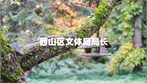 西山區(qū)文體局局長