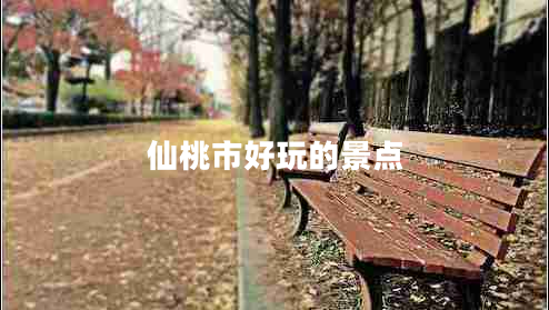 仙桃市好玩的景點