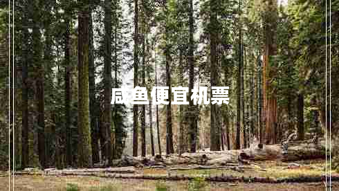 咸魚便宜機(jī)票