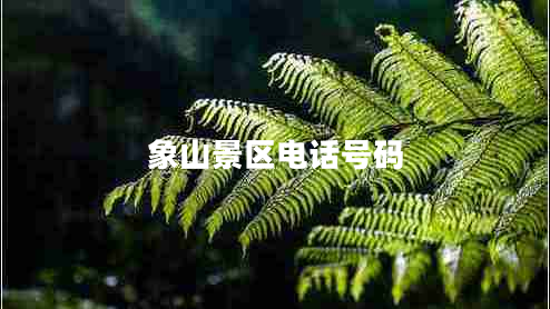 象山景區(qū)電話號碼