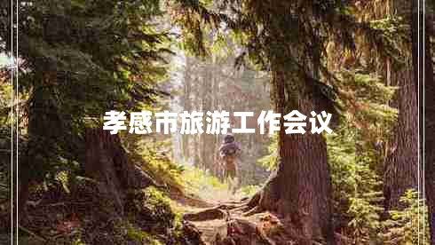 孝感市旅游工作會議