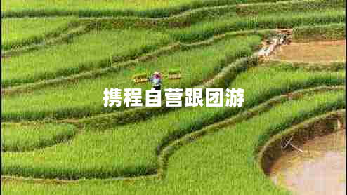 攜程自營跟團游