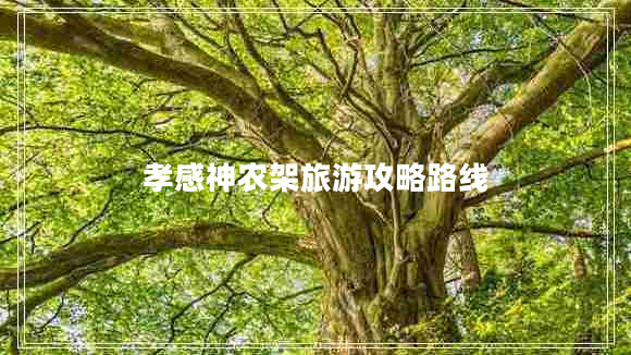 孝感神農架旅游攻略路線