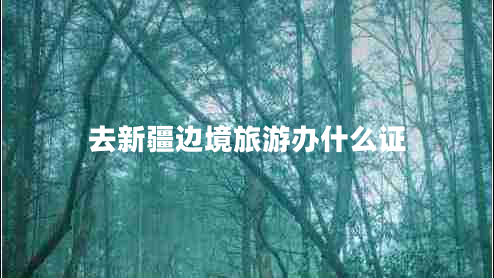 去新疆邊境旅游辦什么證