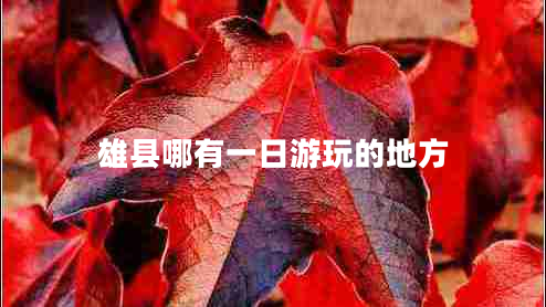 雄縣哪有一日游玩的地方