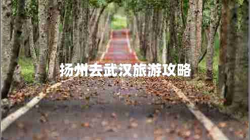 揚(yáng)州去武漢旅游攻略