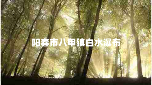 陽春市八甲鎮(zhèn)白水瀑布