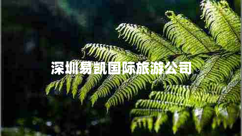 深圳易凱國際旅游公司