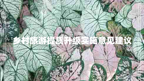 鄉(xiāng)村旅游提質(zhì)升級實施意見建議