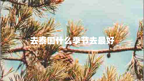 去泰國(guó)什么季節(jié)去最好