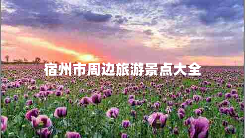 宿州市周邊旅游景點(diǎn)大全