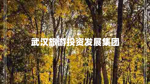 武漢旅游投資發(fā)展集團(tuán)