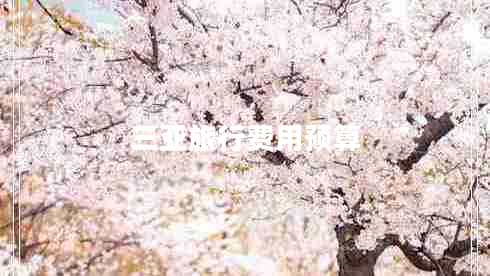 三亞旅行費(fèi)用預(yù)算