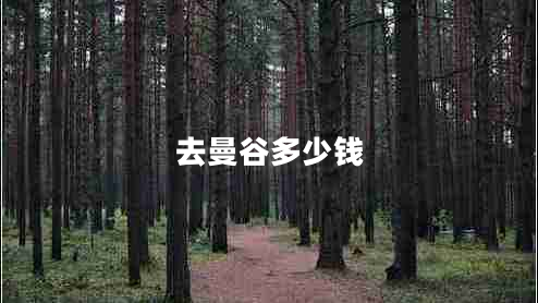 去曼谷多少錢(qián)