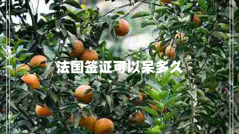 法國(guó)簽證可以呆多久