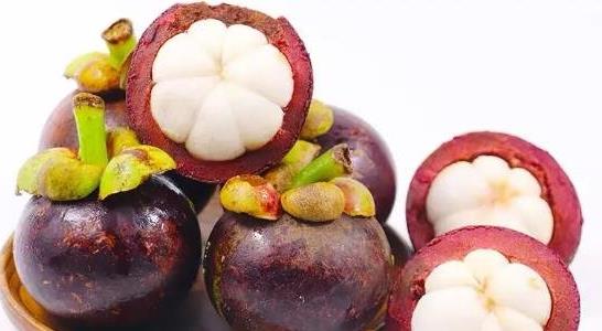 山竹長(zhǎng)在土里還是樹(shù)上