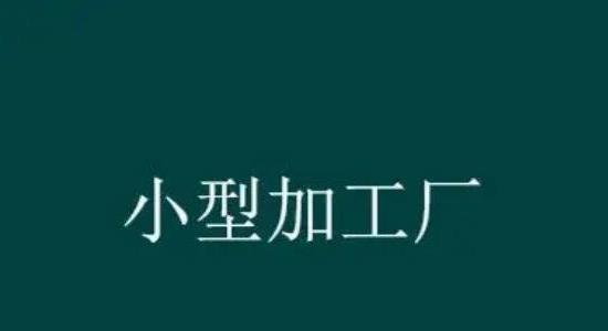 農(nóng)村致富小型加工廠有哪些
