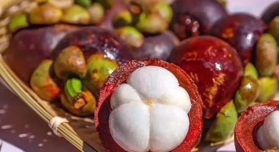 山竹長(zhǎng)在土里還是樹(shù)上