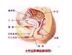 盆腔積液的最好的治療方法是哪些