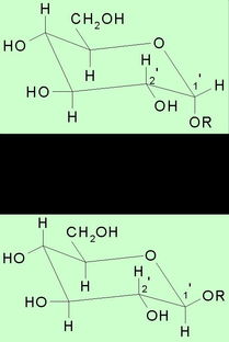 苷的水解方法有哪些