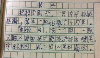 水果的作文有哪些350個(gè)字有說(shuō)明性方法的