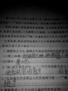 描寫(xiě)莎莉文老師的方法有哪些句子