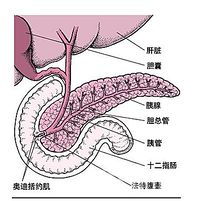 胰腺炎用哪些藥治療方法
