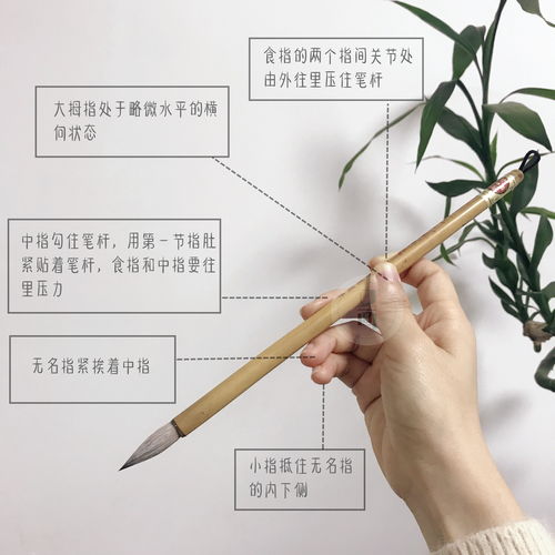 中國畫(huà)的基本運筆方法有哪些