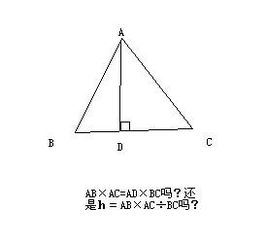 求三角形面積的方法有哪些