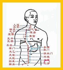 中醫經(jīng)絡(luò )減肥方法有哪些
