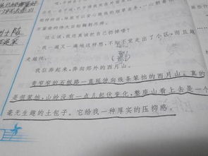 第一段中的描寫(xiě)方法有哪些內容是什么意思