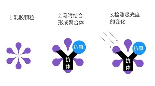 中間體方法學(xué)需做哪些