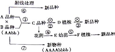 代謝調節育種方法有哪些