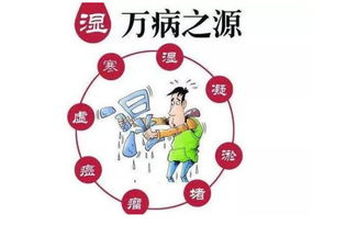 簡(jiǎn)單的去濕氣的方法有哪些
