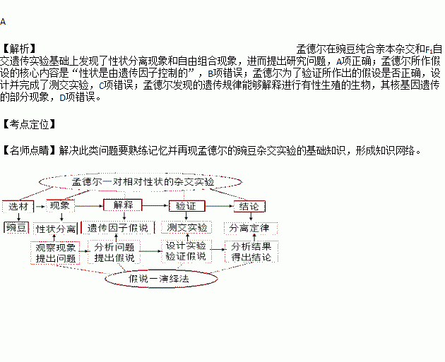 科研中的現代方法包括哪些