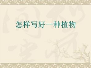 寫(xiě)植物作文的方法有哪些特點(diǎn)