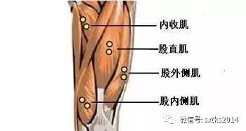 肌肉拉傷的治療方法是哪些