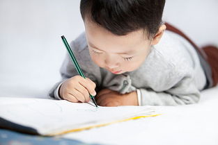 學(xué)會(huì )啦哪些寫(xiě)字的方法