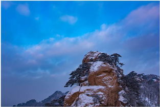 關(guān)于初雪的原創(chuàng  )詩(shī)句