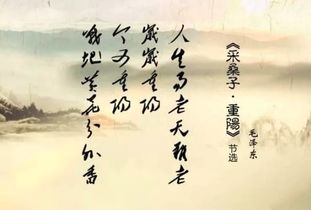 寫(xiě)出關(guān)于節日風(fēng)俗的詩(shī)句