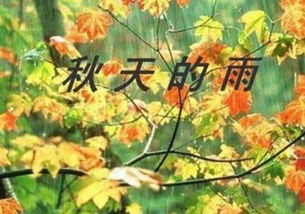 關(guān)于秋天雨的詩(shī)句古詩(shī)