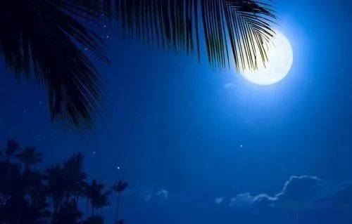 月亮思鄉的詩(shī)句,月亮代表思想的詩(shī)句,描寫(xiě)月亮的思想詩(shī)句