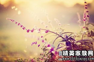 表達青春美好的詩(shī)句,祝愿青春美好的詩(shī)句,寫(xiě)青春美好的詩(shī)句